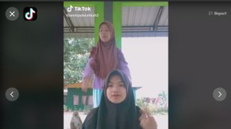 Asyik Main TikTok, Handphone Cewek Ini Malah Dibawa Lari Monyet