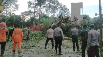 Cuaca Ekstrem, Pohon Tumbang Timpa Angkot dan Tugu Kota Serang Aje Kendor