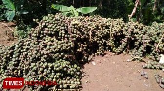 Kuli Bangunan Ini Raup Untung dari Bisnis Kolang-Kaling saat Ramadan