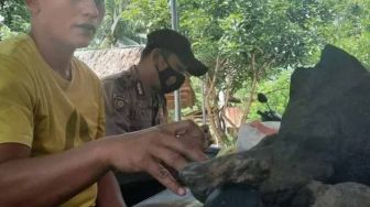 Warga Padang Pariaman Dapat Batu Meteor di Kebun Pepaya, Beratnya 8 Kg