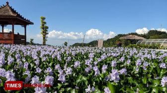 Selama Ramadan, Kebun Bunga Refugia di Kabupaten Magetan Tetap Buka