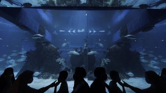 Menunggu Waktu Berbuka Puasa di Jakarta Aquarium