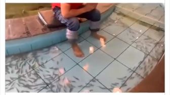 Viral Ikan Menjauh saat Pemuda Ini Mau Terapi, Publik: Apalagi Cewek?