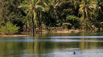 Seorang pria sedang berenang di danau baru yang muncul dampak dari Siklon Tropis Seroja di Kota Kupang, NTT, Jumat (23/4/2021).  ANTARA FOTO/Kornelis Kaha
