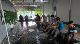 Asyiknya Sensasi Terapi Kaki dengan Ikan-Ikan Jelang Berbuka Puasa