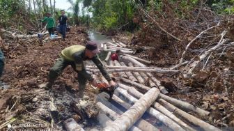 Ratusan Kayu Hasil Pembalakan Liar Dimusnahkan BKSDA Riau