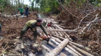 BBKSDA Riau Cincang Kayu Mahang Dengan Gergaji Mesin