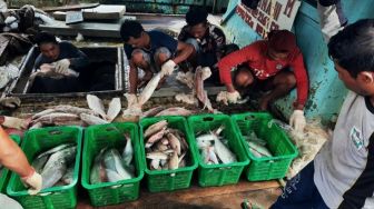 Pengajuan Izin Perikanan Nelayan Sulsel Dipangkas : 6 Hari Menjadi 19 Menit
