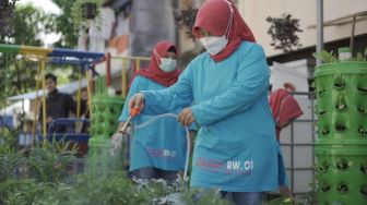 Apresiasi Perjuangan Kartini, BRI Peduli Bantu 18 Lokasi Urban Farming