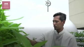 Berkebun di Atap Masjid: Ikhlas untuk Kemakmuran Masjid dan Jamaah