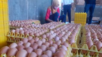 Masuki Pertengahan Bulan Ramadhan, Harga Telur Ayam di Gunungkidul Anjlok