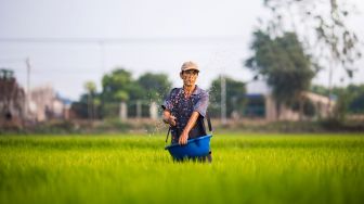 Prospek Kerja Lulusan Jurusan Agribisnis, Ternyata Luar Biasa Banyak!