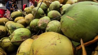 Jadi Pilihan Pelepas Dahaga Saat Berbuka, Sudah Tahukah Manfaat Minum Air Kelapa Muda?