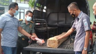 Sendirian, Kakek Renta Ini Curi Sebatang Kayu Jati di Tengah Hutan