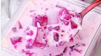 Resep Cheese Milk Dragon Fruit Pudding untuk Buka Puasa Segar Anti Bosan