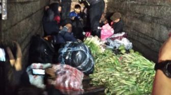 Sejumlah Pemudik dari Bekasi Terciduk Bersembunyi di Dalam Truk Sayur