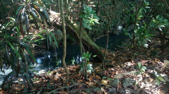 Tercemar Limbah Tahu, Sendang Bersejarah di Gunungkidul Tercium Bau Busuk
