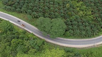 Kendaraan melintas di Jalan Lintas Timur Sumatera, Sekernan, Muarojambi, Jambi, Sabtu (8/5/2021). [ANTARA FOTO/Wahdi Septiawan]