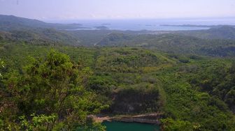 Lahan bekas tambang itu kini telah menjadi hutan