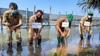 Tanam 1.000 Pohon Mangrove di Baros, Plastik Jadi Masalah Utama