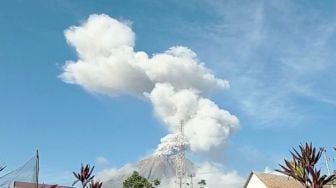 Gunung Sinabung Kembali Erupsi, Kolom Abu Capai 2,5 Km