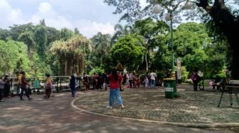 Liburan Lebaran, Taman Margasatwa Ragunan Buka Sampai Jam 2 Siang