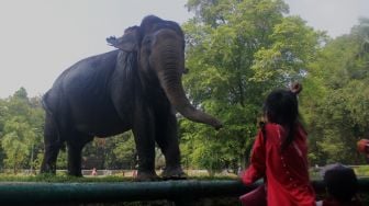 Warga berkunjung ke Taman Margasatwa Ragunan, Jakarta, Jumat (14/5/2021).  [Suara.com/Dian Latifah]

