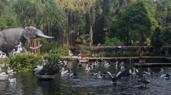 Libur Waisak, Sebanyak 10.331 Orang Kunjungi Kebun Binatang Ragunan