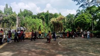 Pengunjung Taman Margasatwa Ragunan Wajib Pesan Tiket via Online