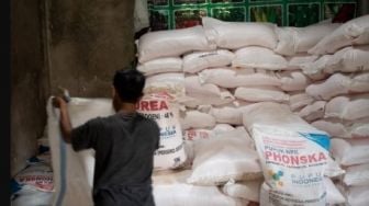 Petani di Sumut Serap Pupuk Subsidi hingga 30%