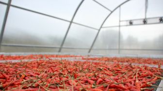 Solar Dryer Dome dari Kementan Tingkatkan Nilai Tambah Produk Hortikultura