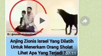 CEK FAKTA: Anjing Israel Dilatih untuk Menerkam Orang Salat, Benarkah?