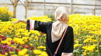 10 Tempat Wisata Semarang: Setiya Aji Flower Farm hingga Bukit VW