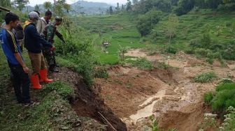 Sawah Siap Panen di Bandung Barat Tertimbun Longsor