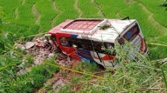 Kecelakaan Maut Bus Transport Express Terjun ke Sawah, Tiga Orang Tewas