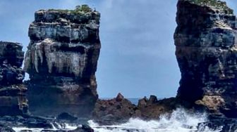 Dampak Erosi, Batu Ikonik Darwin's Arch di Galapagos Runtuh