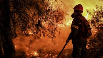 Kebakaran Hutan di Turki, Warga Perumahan Dievakuasi