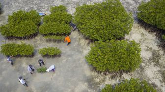 Peringatan Hari Keanekaragaman Hayati Sedunia di Pulau Harapan