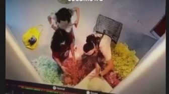 Viral! Pengunjung Rusak Seni Instalasi Demi Dapatkan Foto Terbaik Anjingnya