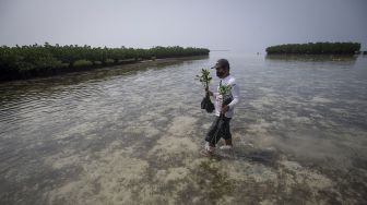 Warga membawa bibit bakau untuk ditanam di perairan pantai Pulau Harapan, Kabupaten Kepulauan Seribu, DKI Jakarta, Sabtu (22/5/2021). [ANTARA FOTO/Aditya Pradana Putra]