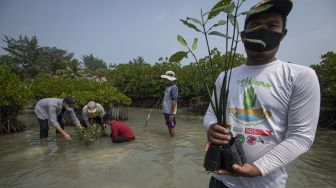 Sejumlah aktivis dan warga menanam bibit bakau di perairan pantai Pulau Harapan, Kabupaten Kepulauan Seribu, DKI Jakarta, Sabtu (22/5/2021). [ANTARA FOTO/Aditya Pradana Putra]