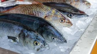 Beli Kepala Ikan Matang, Warganet Temukan Benda Tak Terduga di Dalamnya