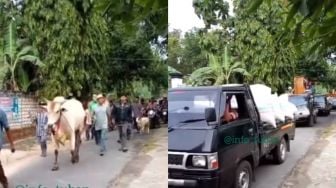 Bak Sultan, Pria Seserahan Nikah Bawa Gabah 7 Mobil hingga Hewan Ternak