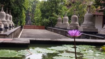 Bhikku Sri Pannavaro: Peringati Waisak dengan Meditasi di Vihara Masing-masing