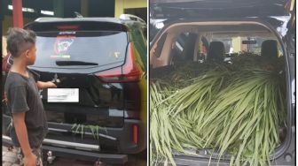 Bikin Sapi Senang, Mitsubishi Xpander Disulap Jadi 'Restoran' Berjalan