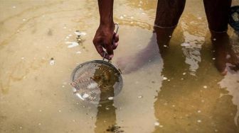 Tak Hanya Serang Gedung, Israel Juga Hancurkan Peternakan Ikan Warga