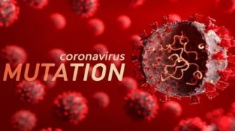 Waspada! Virus Covid-19 India Sempat Masuk ke Riau, Ganasnya Minta Ampun