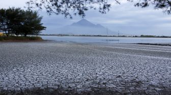 Menguak Harta Karun Lumpur Lapindo, Rare Earth Logam Tanah Jarang