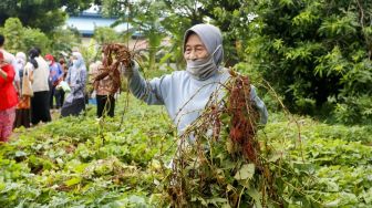 Mensos: Lansia Bukan Beban Tapi Aset Negara dan Penyangga Pembangunan Nasional