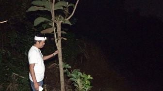 Dedi Mulyadi Desak Pelaku Perusakan Hutan di Karawang Segera Ditindak